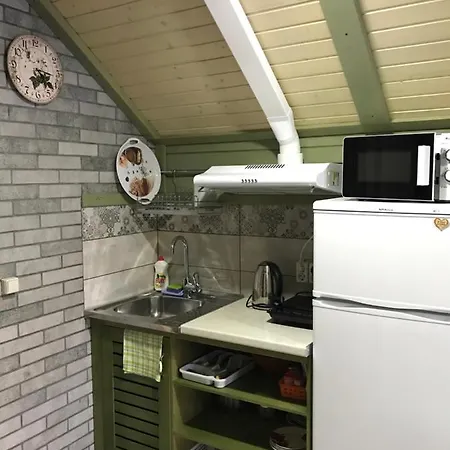 Karpatske Vidlunnya シャレー *