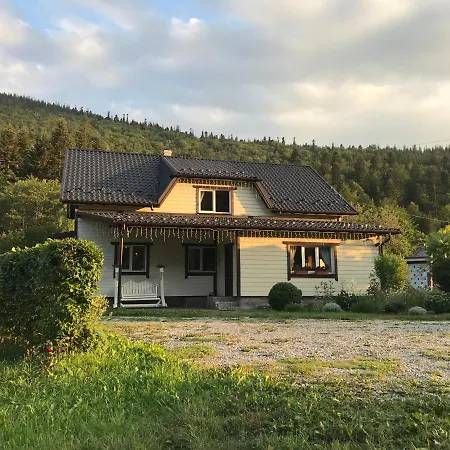 Karpatske Vidlunnya Chalet Mykulychyn