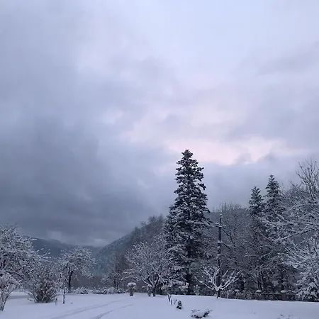 Karpatske Vidlunnya Chalet *