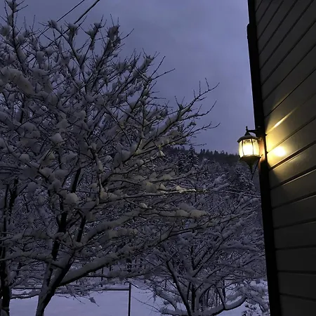 Chalet Karpatske Vidlunnya Mykulytschyn