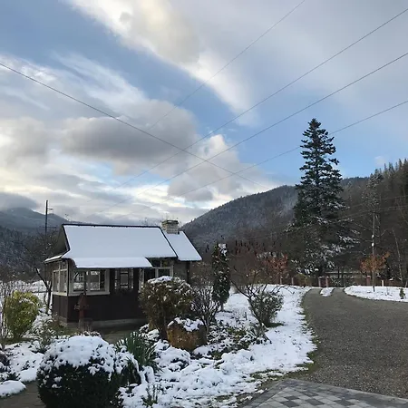 Karpatske Vidlunnya * Mykulychyn