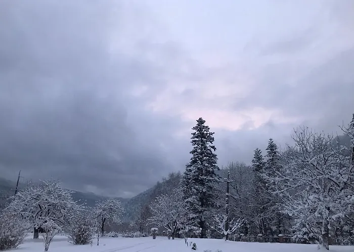 Karpatske Vidlunnya Chalet *