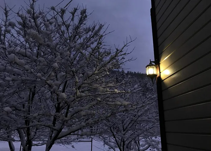 Chalet Karpatske Vidlunnya Mykulychyn