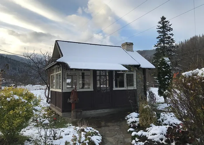 Karpatske Vidlunnya Chalet